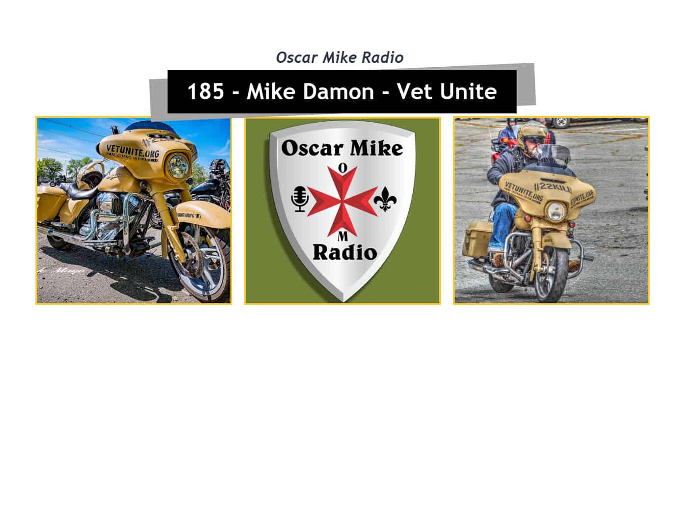 185 – Mike “The Godfather” Damon of Vet Unite