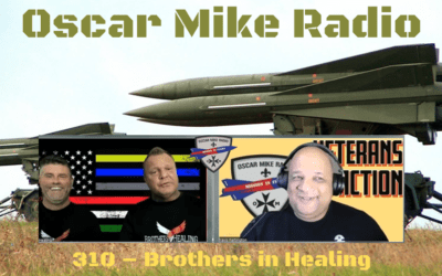 310 – Brothers in Healing